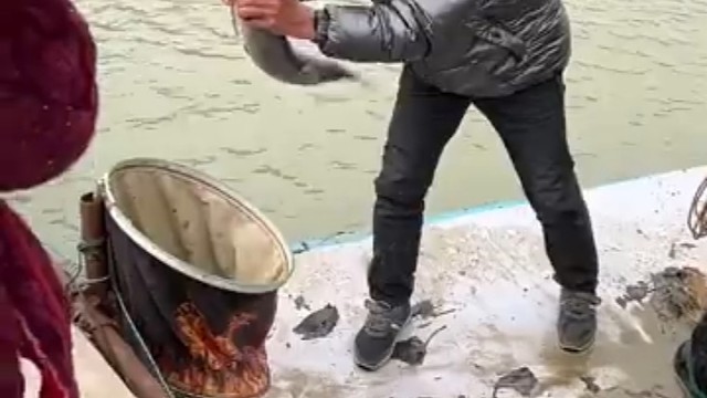 到手的鱼不能跑了