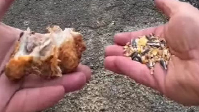 哥们一点不带犹豫的