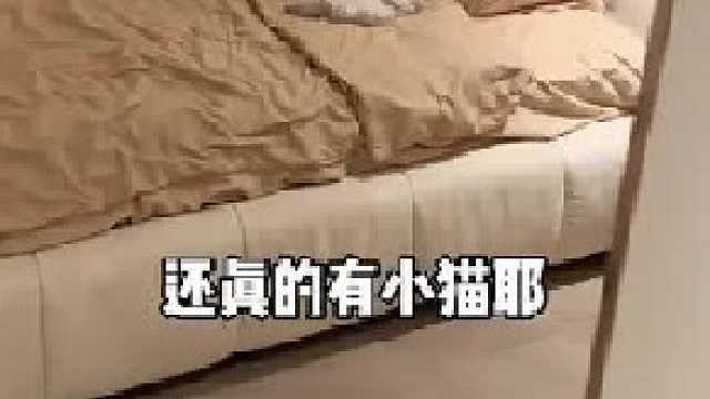 老板，你们家员工怎么偷懒啊！！