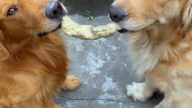 本来打平手，结果来了第三只