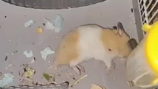 刚才是睡着了，现在是转晕了