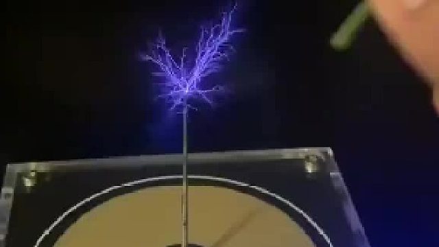 将特斯拉线圈穿过一朵花的效果