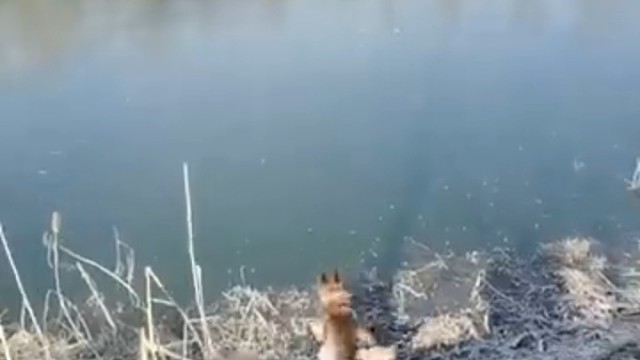 狗子：我这一生如履薄冰