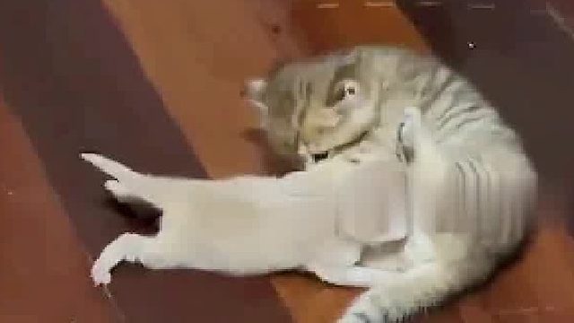 哎呀，看样是真饿了