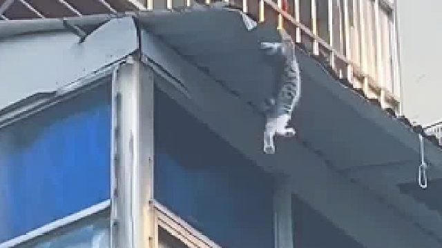 大妈的实况解说对现场吃瓜的近视患者很友好