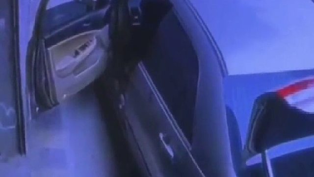 男子忘关车门小车被小狗启动，邻居直接惊呆