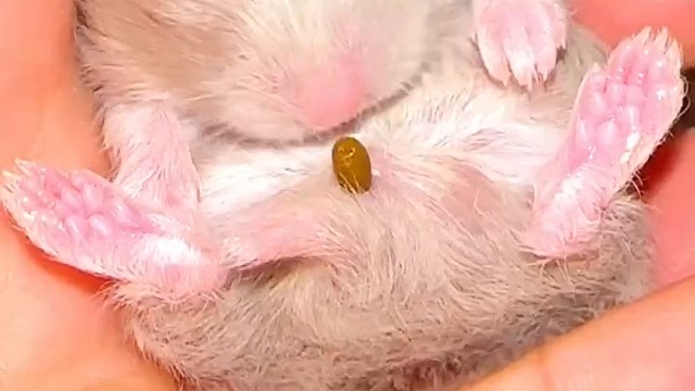 哈哈，真的能做到自产自销也可爱。