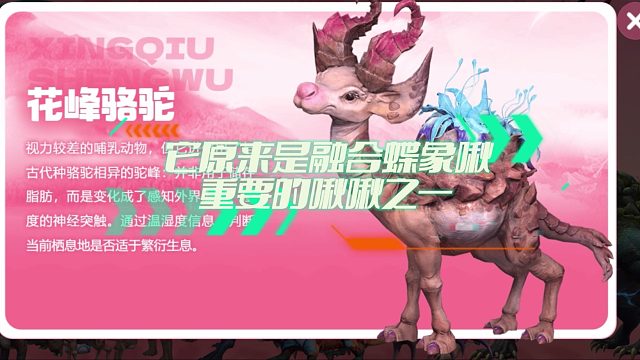 《创造吧！我们的星球》沙漠生物花峰骆驼捕捉教程