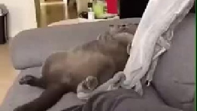 瘦子在跑步机上努力跑步，胖子在沙发上呼呼大睡！