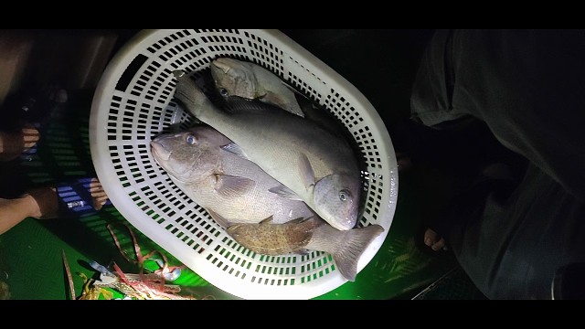 我发布了一个新视频，快来围观吧！