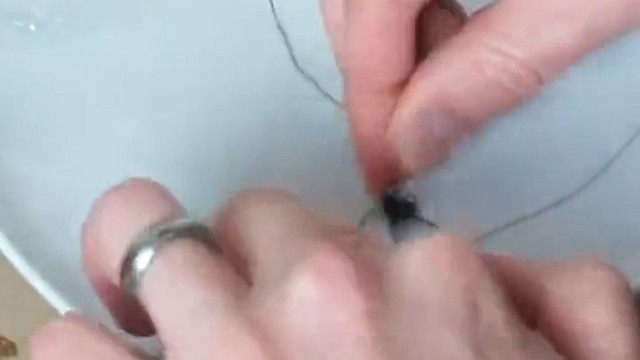 遛猫、遛狗，你看过"遛"苍蝇吗？这会是什么样的体验呢？