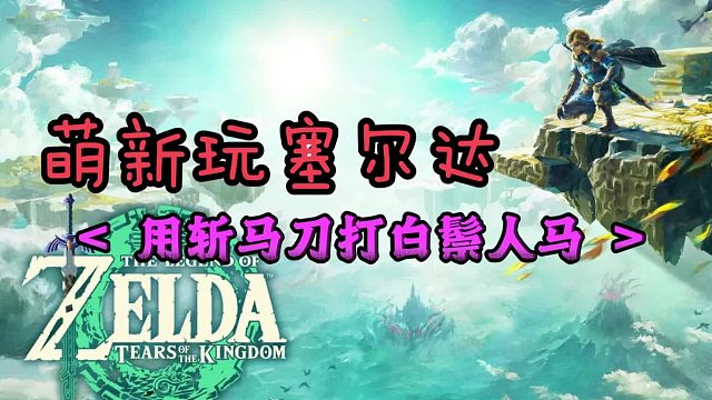 塞尔达王泪：又用斩马刀，打白鬃人马太简单了