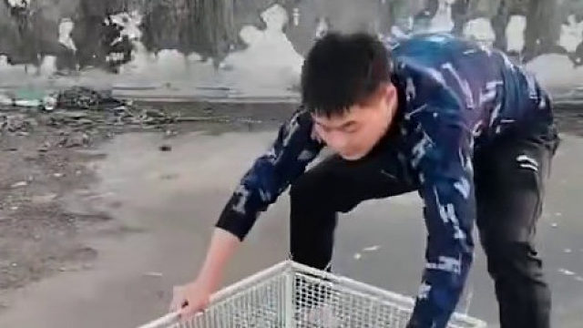 这玩意要训练过的才会去钻