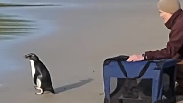 pinggu：真是人生无常，大肠包小肠