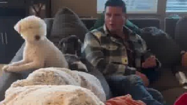 小白已经准备好战斗了