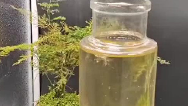 什么情况，一起说说吧