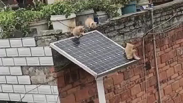 这种情况是多么无助