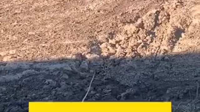 怪兽来了，外星人来了