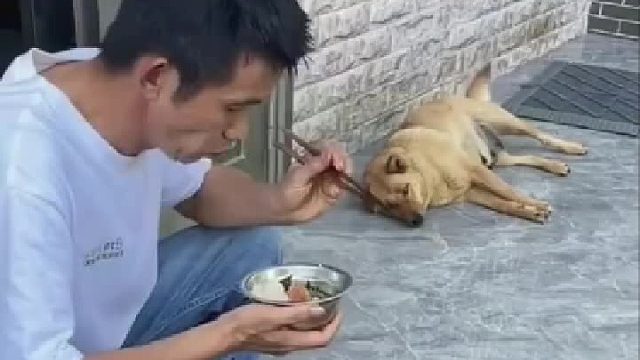 你个老登，掉地下的你自个吃吧