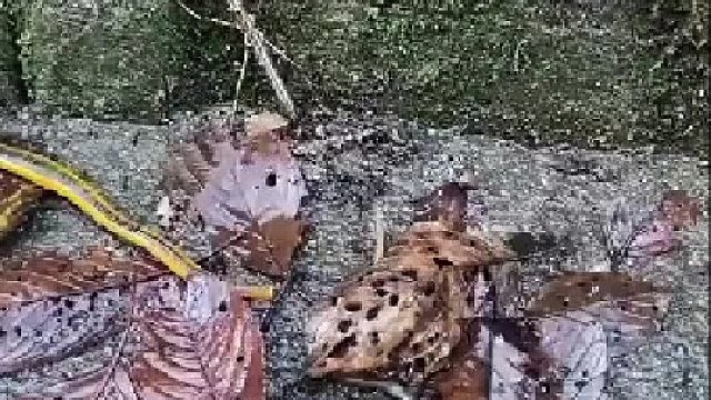 以后不吃面条了