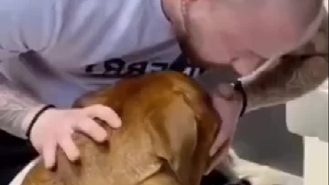 这和人正骨的时候表情差不多