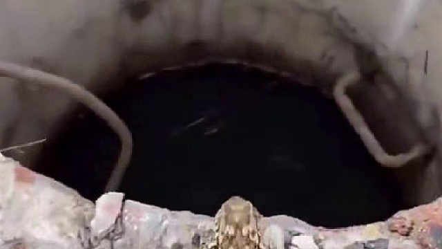 这一跳就是一辈子