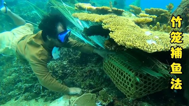 户外捕鱼：菲律宾渔民买50块钱死鱼做饵，抓捕东星斑和大章鱼！
