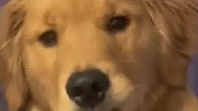 张十八：就你长嘴巴哇哇叫是嘛