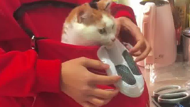 煮个面条，都得驮着她