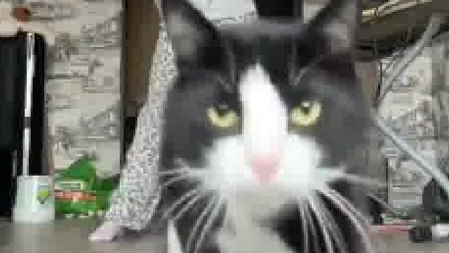 最后的表情还要加十分