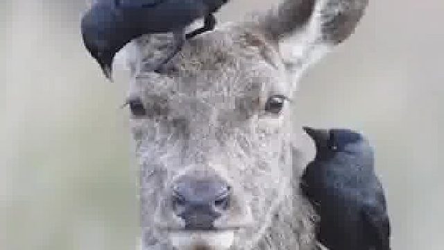 一看就是合作多年的老关系……