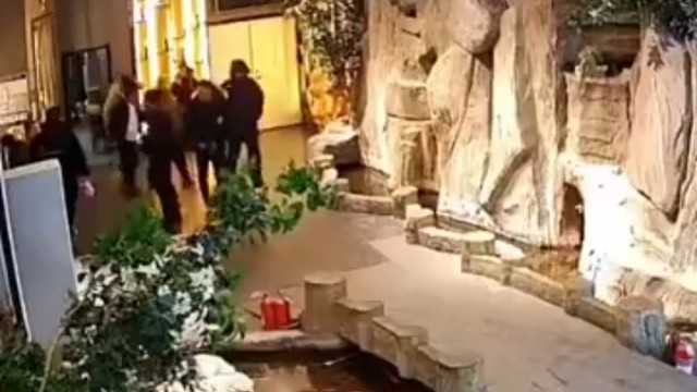 好功法，反应真快啊