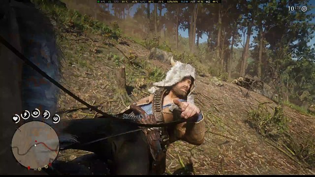 蹲了那么久的美洲狮