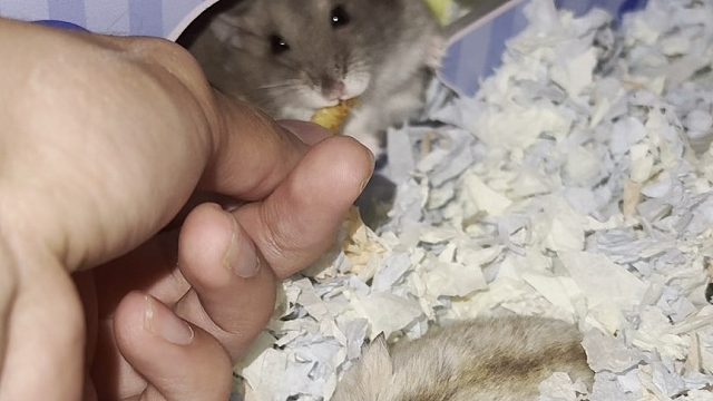 当代年轻人哪有不疯的