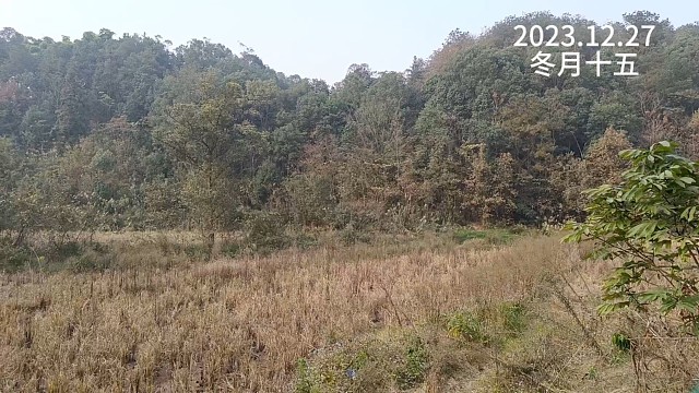 80后小鲜肉回村打造梦想家园的日常 继续搭木屋