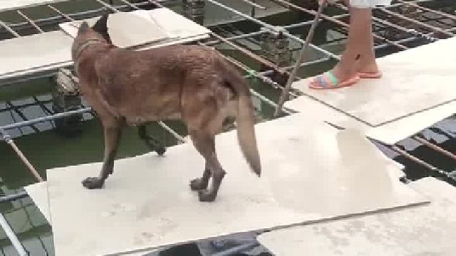 好奇害死猫…..