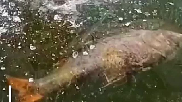 回去能吹个牛了