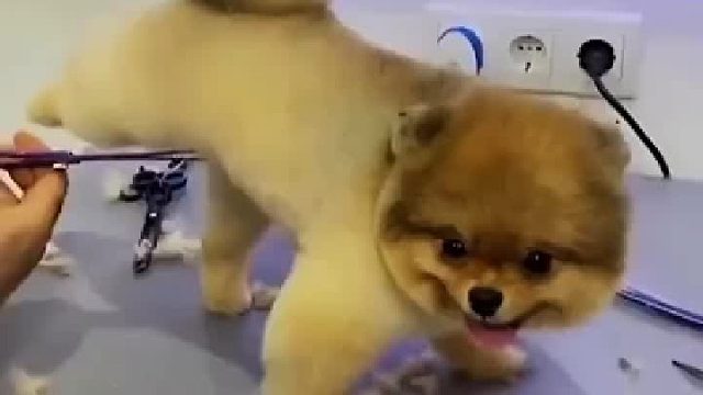 那个理发师，先把自己的理一下吧