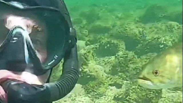 小哥每次潜水，都要带一条鱼遛弯！