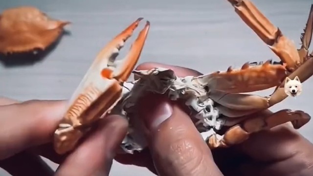 螃蟹：好，以后就朝这个方向进化。