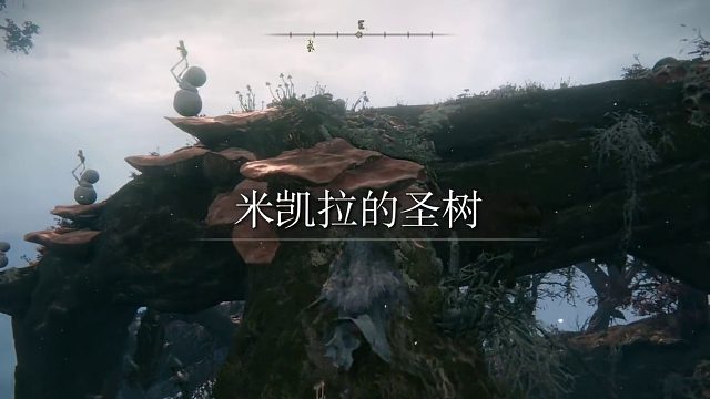 详细圣树所有赐福点开启攻略，告别迷路