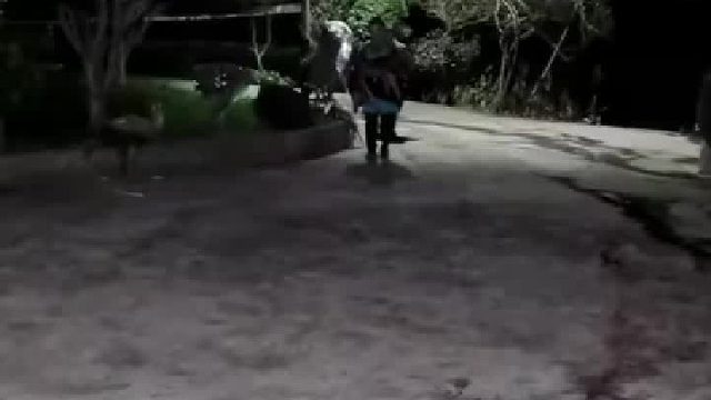 狗狗知道自己要离世了自己离家躲外面去