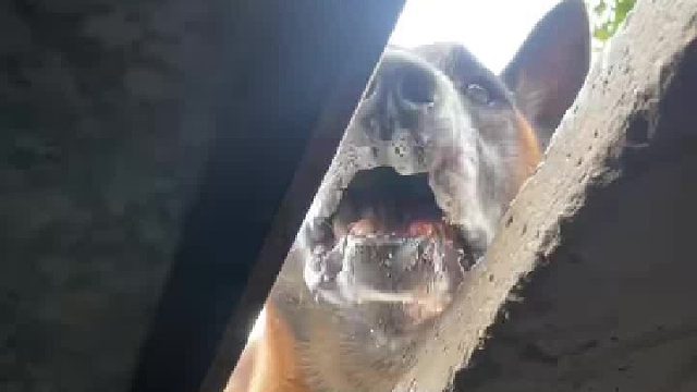 冲在危险第一线，奋不顾身只为拯救生命