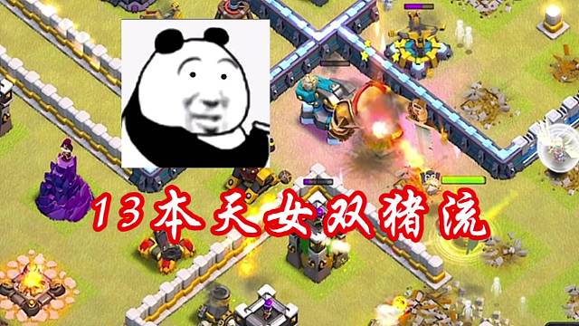 13本天女双猪三星流