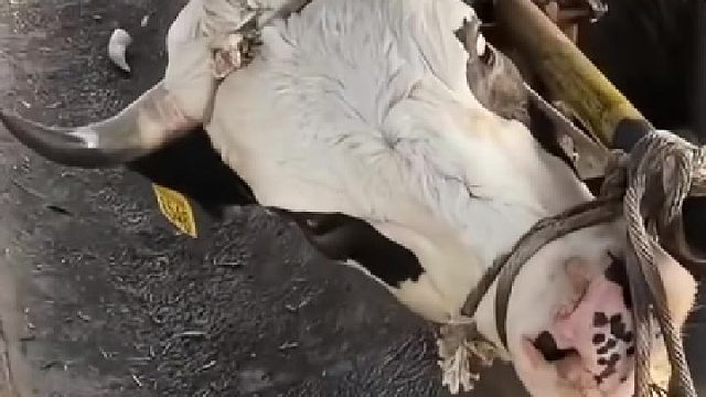 很疼吧，要不能那么大反应吗？