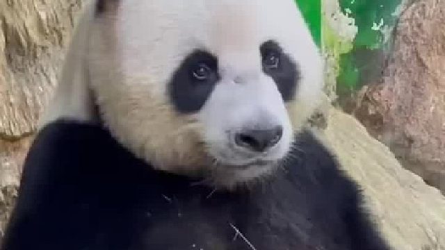 拒绝焦虑！拒绝焦虑