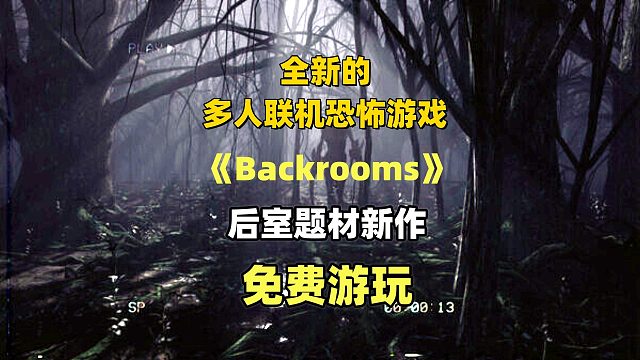 全新恐怖游戏，后室题材新作《Backrooms》免费游玩
