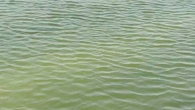 冬天鱼儿不是不开口吗？#随拍