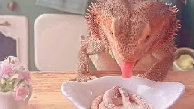 胡子龙的用餐时间