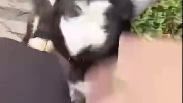 天天就知道缠着我，烦死了